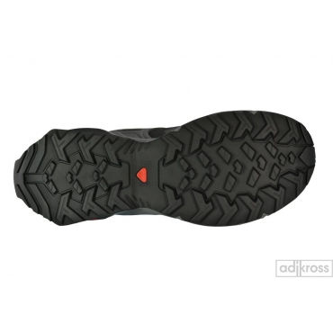 Термо-ботинки Salomon X Raise MID GTX W 411032